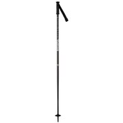 ELECTRA RDJ5030 BLACK 115cm 2本セット [スキー ストック レディース]