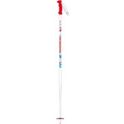 SUPER ROOSTIE RDI6040 100cm 2本セット [スキー ストック ジュニア]