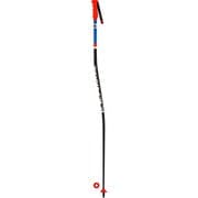 SPEED GS-SG Sr DDJ1010 120cm 2本セット [スキーストック レーシング ジュニア]