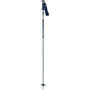 VECTOR 4 GREY/BLUE DDJ2020 115cm 2本セット [スキーストック]