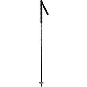 CHAM 10 DDJ3020 125cm 2本セット [バックカントリー ストック]
