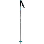 ELITE HYBRID 6 DDJ5000 115cm 2本セット [スキーストック]