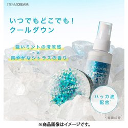 ヨドバシ.com - スチームクリーム STEAMCREAM 1201 スチームクリーム