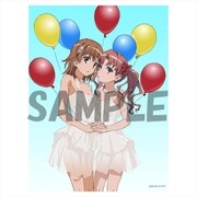 とある科学の超電磁砲T アクリルアートボード 御坂 美琴&白井 黒子 [キャラクターグッズ]