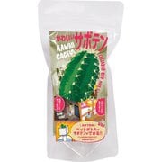 ルーチェ ザ・ライト+グリーントイ サボテン