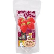 ルーチェ マンハッタン+グリーントイ イチゴ