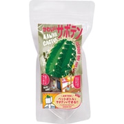 グリーントイ サボテン