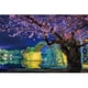 10-1364 錦帯橋の夜桜 [ジグソーパズル 1000ピース]