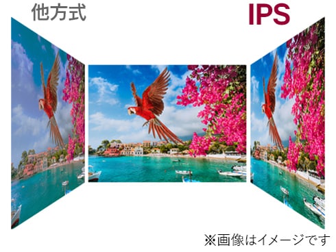 LG31.5インチモニター　32QN600 QHD LGエレクトロニクス 32QN600-B [31.5インチ] 価格比較 - 価格.com