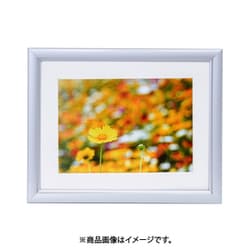アルミ額縁 シルバー A32 キャビネ（2L）