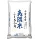 精米 千葉県産夷隅米コシヒカリ 5kg 令和5年産