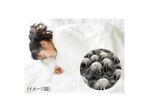ヨドバシ.com - パナソニック Panasonic 縦型洗濯乾燥機 洗濯8kg ヨドバシ.com - パナソニック Panasonic 縦型洗濯乾燥機 洗濯8kg