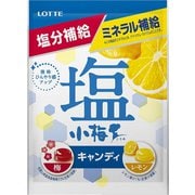 ロッテ 塩小梅（袋）<梅＆レモン> 84g