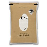 鮮度保持 新潟産こしひかり 2kg