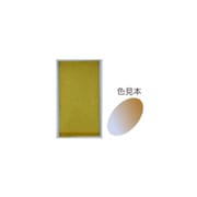顔彩 メタリック青金M 20 15461