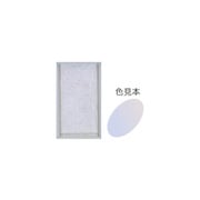 顔彩 メタリック銀M 30 15462