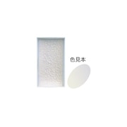 顔彩 オーロラ銀R 30 15467