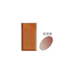 顔彩 パール 銅P 40 15473