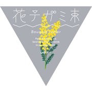 メッセージカード 花テガミ束 no.03 ミモザ