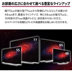 ヨドバシ.com - LGエレクトロニクス OLED48CXPJA [48V型 地上・BS・110