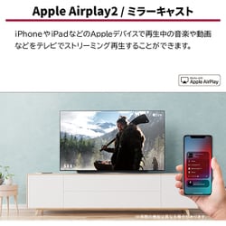 ヨドバシ.com - LGエレクトロニクス OLED48CXPJA [48V型 地上・BS・110