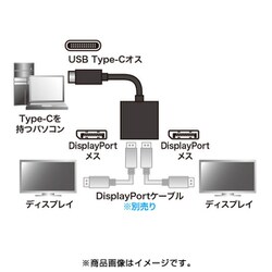 ヨドバシ.com - サンワサプライ SANWA SUPPLY AD-ALCMST2DP [USB TypeC 