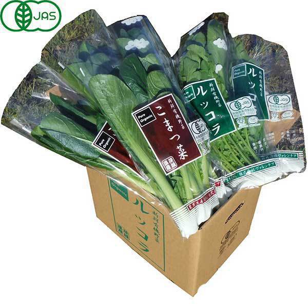 ヴァレンチア  有機農法で作った野菜セット5回分回数券（小松菜、ルッコラ） 3,480円セット