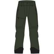 Alpine Pants G57944051 Coniferous Green Mサイズ [スキーウェア パンツ メンズ]