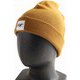 FW HISPTER T BEANIE-AXS G Earth [スキー キャップ ユニセックス]