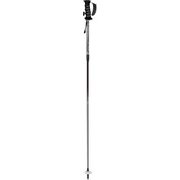 POLE DEMO MODEL  30286 LC-FP/SIV S(95-115cm) 2本セット [スキー ストック 伸縮式]