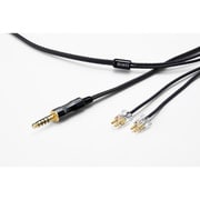 CF-N-2G-FITEAR 4.4
