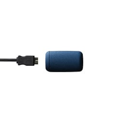 USB Type-Cケーブル付き外付けポータブルSSD - ESD-EF0500GNVR