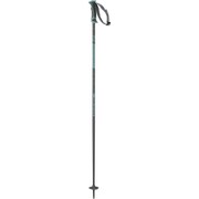 ARCTIC LADY L411742 Grey/Green. 100cm 2本セット [スキー ストック レディース]