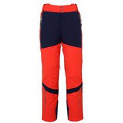 デモ ゲーム プロ 3-D パンツ Demo Game Pro 3-D Pants PFA72OB10 (FLRD)Flame Red Mサイズ [スキーウェア パンツ メンズ]