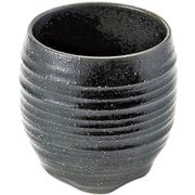 161-800 [たっぷりカップ 天正黒]