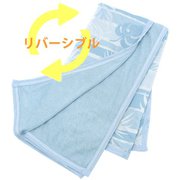 クールケット ハーフケット 両面使える ひんやり冷たい冷感 & ふんわり綿パイル ボーダーリーフ柄 ブルー 約100×140cm TK101016-76