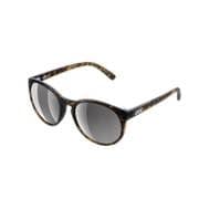 Know KNOW9012 Tortoise Brown [サングラス]