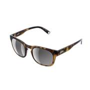 Require RE1010 Tortoise Brown [サングラス]