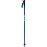 PIN COBALT A200200501440  110cm 2本セット [スキーストック]
