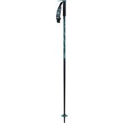 HAIRPIN EMERALD A200200601420 EMERALD 105cm 2本セット [スキーストック]