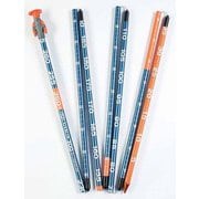 STEALTH 300 C2005003010 [アバランチ用品 プローブ]