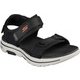 229003 [GO WALK 5-CABOURG BKOR 25.0cm]