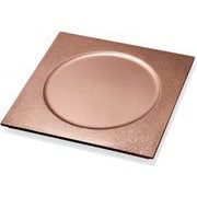 プレート 8.5寸玄武盛皿 渕絞り銅/裏黒塗 OL-70-3