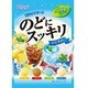 のどにスッキリ ドリンクアソート 110g