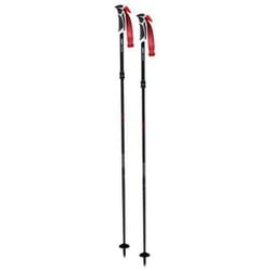 ソニックR1 DEMO スキー ストック 伸縮式 95-130cm 2本セット AR112-1D