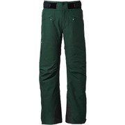 Thebe GTX Pants G30310P セダーグリーン(EG) XSサイズ [スキーウェア パンツ メンズ]