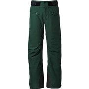 Thebe GTX Pants G30310P セダーグリーン(EG) XXLサイズ [スキーウェア パンツ メンズ]