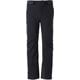 G-Bliss Pants G30311P ブラック(BK) Lサイズ [スキーウェア パンツ メンズ]