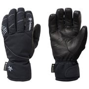 W's GTX Gloves GW80311P ブラック(BK) Lサイズ [スキー グローブ レディース]