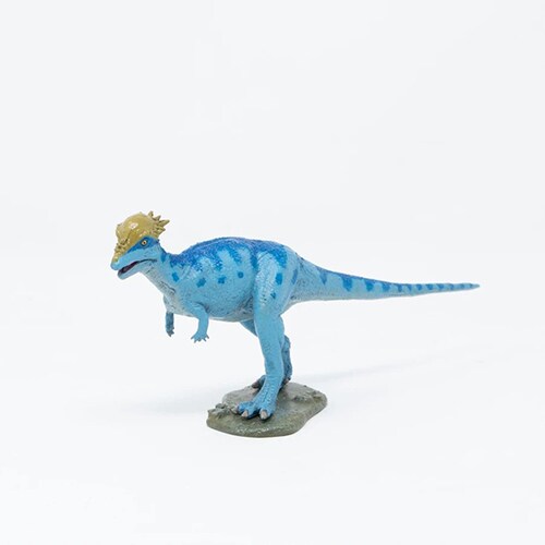 Fdw 022 恐竜フィギュア パキケファロサウルス ソフトモデル 豊富な品